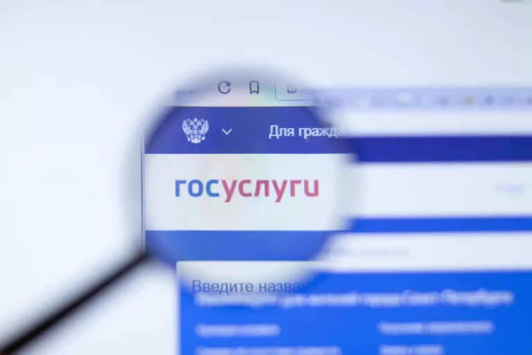 Весь функционал Росреестра станет доступен на портале госуслуг до конца 2023 года