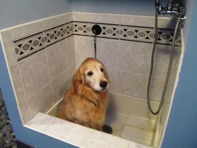 Девелоперы могут отказаться от многих невостребованных опций в новостройках