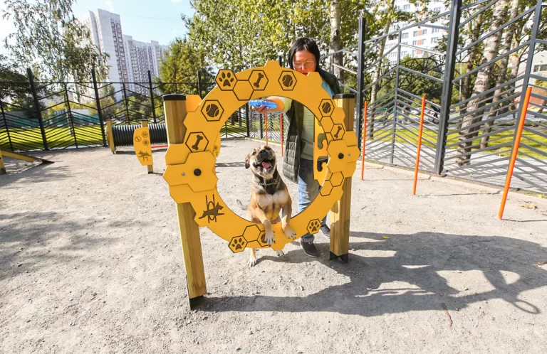 Минстрой озаботился отсутствием собачьих площадок