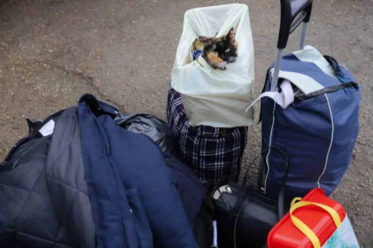 В Фонде развития территорий объяснили, почему обналичивание херсонских сертификатов порой занимает так много времени