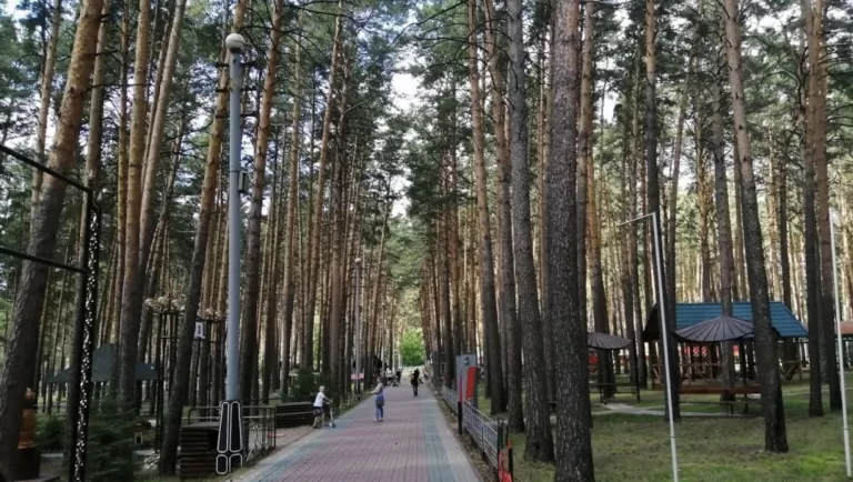 В Новосибирске мэрия проиграла суд застройщику