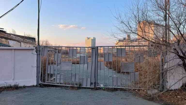 Владивосток vs китайский застройщик: в громком конфликте поставлена точка