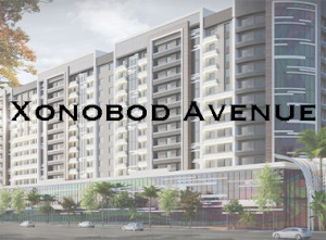 Xonobod Avenue