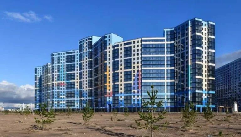 Сразу 100 уголовных дел рассмотрит суд в Петербурге в отношении топ-менеджера «дочки» Seven Suns Development Андрея Большакова из-за жилого комплекса на намыве