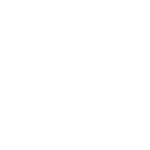 СЗ ДЕЛОВОЕ ПАРТНЕРСТВО