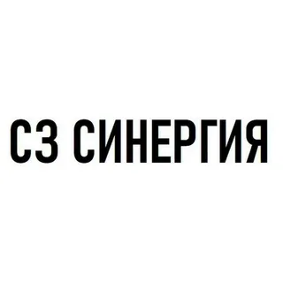 СИНЕРГИЯ