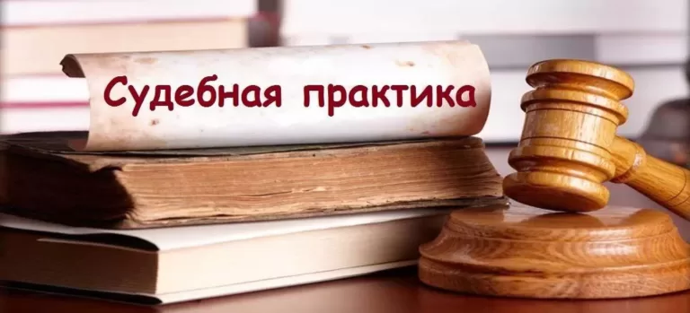 ВС РФ: если застройщик не владеет квартирами в новостройке, то голосовать на общем собрании он не имеет права