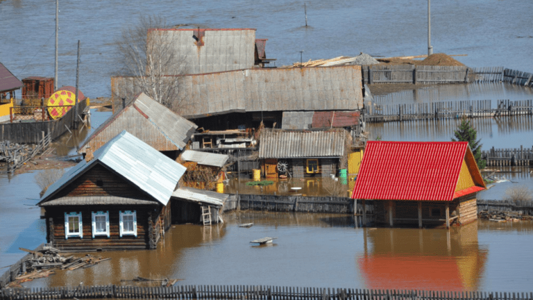 Одной категории россиян хотят бесплатно выдавать жилье. Порядок выдачи будет определять Правительство