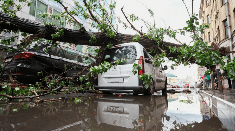 Смерчи, туманы, наводнения и экстремальная жара: к чему приводит изменение климата в городах