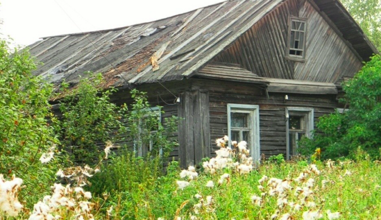 Три года на освоение земли: что произойдет с дачей, если не уложишься в срок