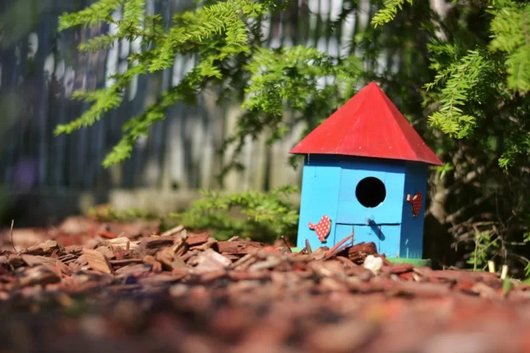 Что такое Дачное некоммерческое партнерство в недвижимости