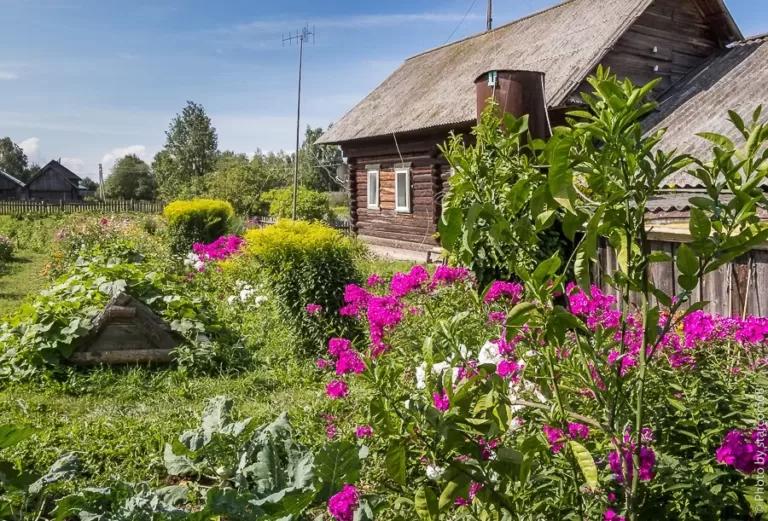 Как вывести землю из СНТ в ИЖС