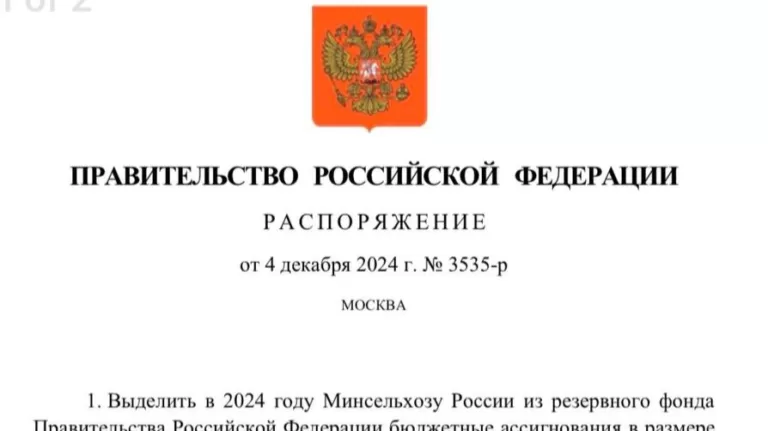 Сельскую ипотеку правительство дофинансировало почти на 5 млрд рублей