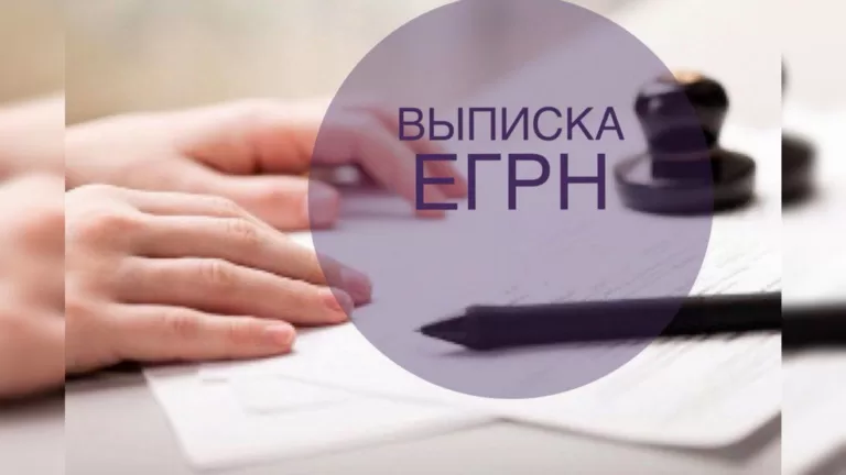 ЕГРН выписка: что это за документ и зачем его получать?