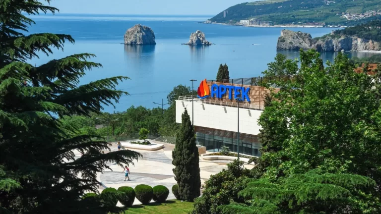 Фонд ТОЧНО ДОБРО стал партнером «Артека»