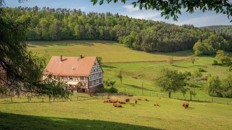 Ипотека на ИЖС в 2025 году: что нужно знать об условиях и процентах