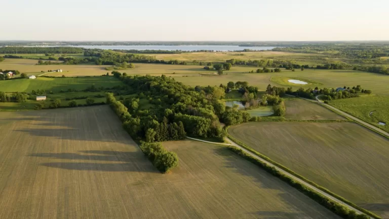 Земельные участки в цене в 2025 году: как будет развиваться рынок и что стоит учитывать