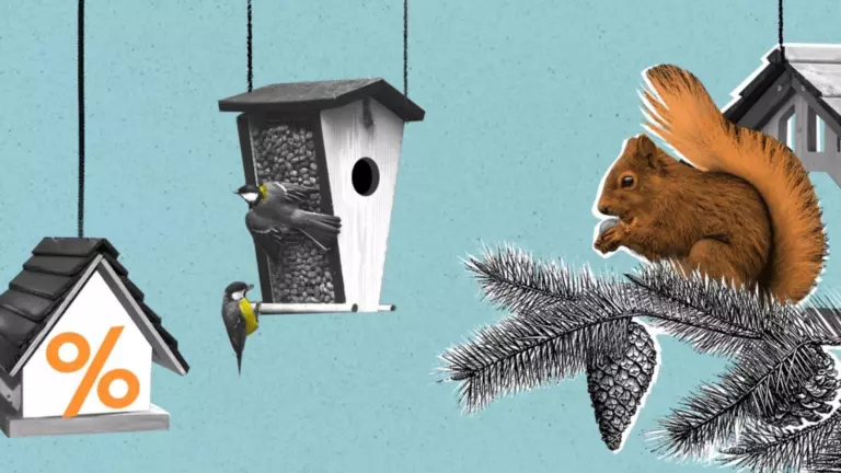 Аренда квартиры с правом выкупа: как оформить долгосрочную аренду с возможностью покупки