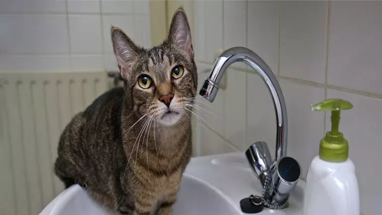 Как узнать, когда будет отключение горячей воды в Москве?