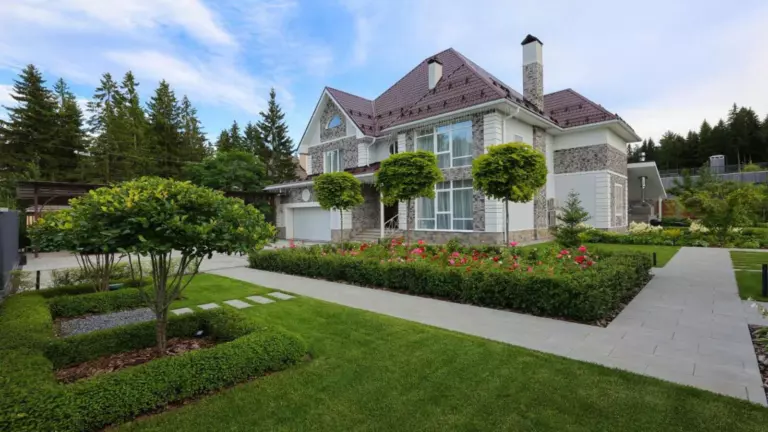 Какой газон посадить на участке?