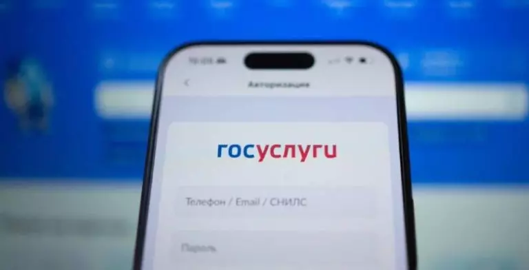 На «Госуслугах» появилась возможность заключения договора аренды