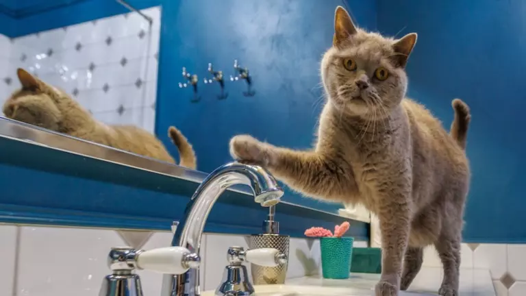 Зачем каждое лето отключают горячую воду?