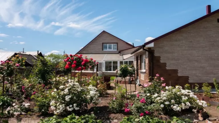 Налог на хозпостройки на участке: что нужно знать в 2025 году