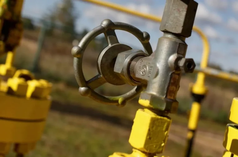 Росреестр: газификация дач в России «уперлась» в неоформленные права на общее имущество в СНТ