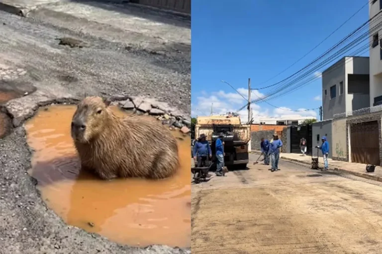 Сгенерированная в луже капибара заставила чиновников работать и помогла отремонтировать дорогу