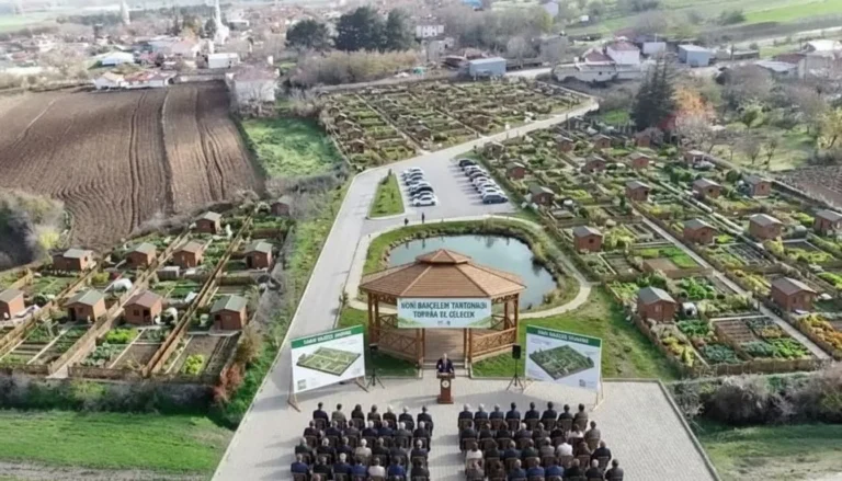 В Турции хотят снести десятки тысяч построек на сельхозземлях, в основном это бунгало и контейнерные дома 