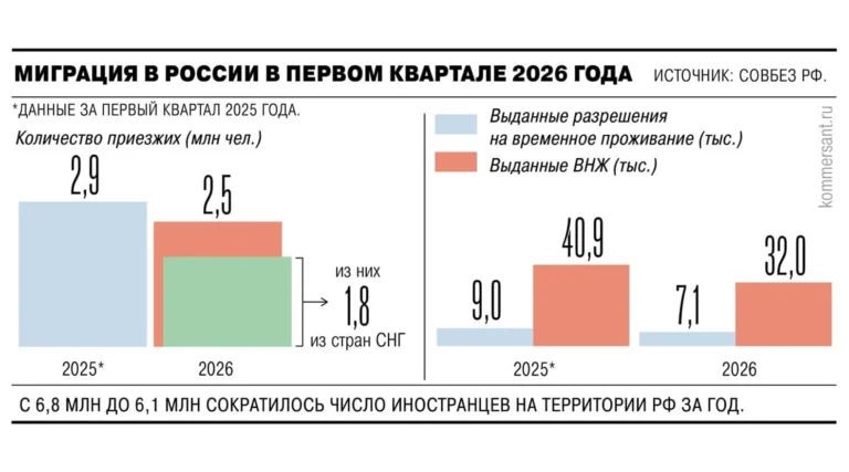 За год в России число мигрантов упало на 700 тысяч, до 6,1 млн человек