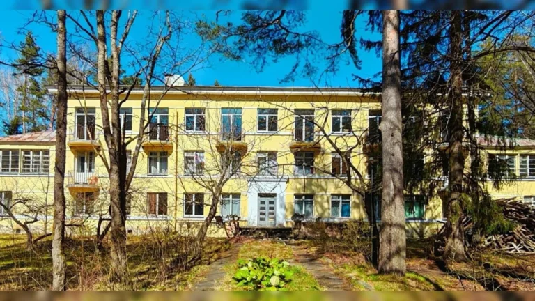 Переделкино по-петербургски: как Комарово может превратиться в новую литературную столицу России