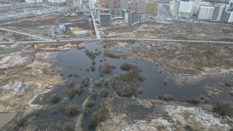 «Эталон» обвинил власти Екатеринбурга в бездействии после прорыва дамбы в «Солнечном»