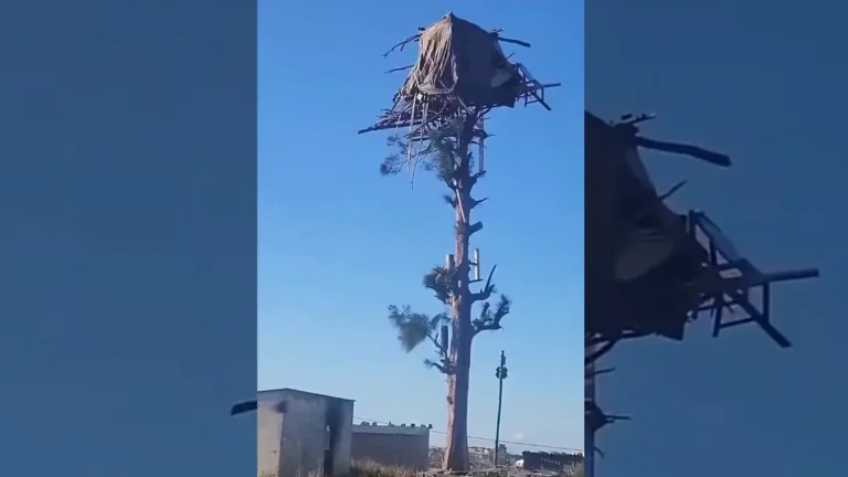 Недоступного жилья не бывает, есть труднодоступное