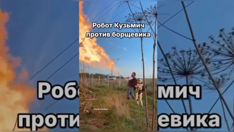 Благоустройство по-подмосковному: российский фермер показал робота Кузьмича с огнемётом против борщевика
