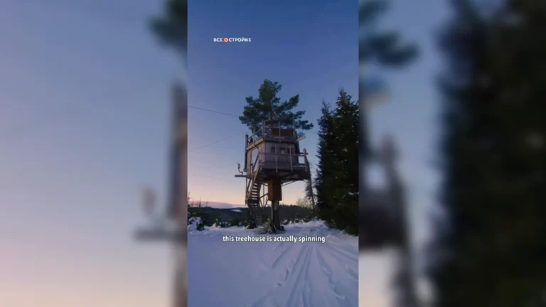 Рядом с норвежским городом Брумунддал сдаётся крутящийся домик на дереве за 55 тысяч рублей/сутки