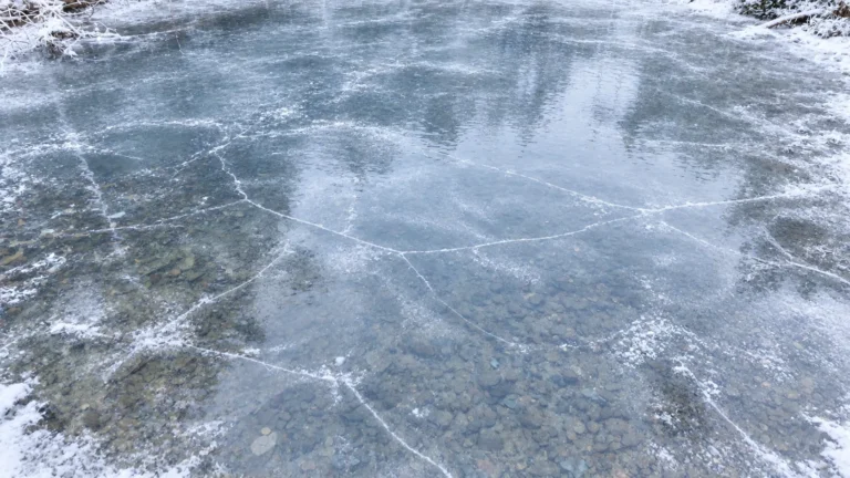Декоративный пруд перед зимой: сливать воду или оставлять чашу заполненной