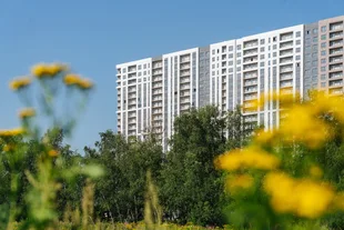 Квартира Студия, 31 м² ЖК «1-й Южный» Фото 7