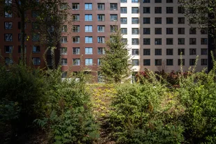 Квартира Студия, 26.7 м² ЖК «Sky Garden» Фото 8 Квартира Студия, 26.7 м² ЖК «Sky Garden» Фото 8