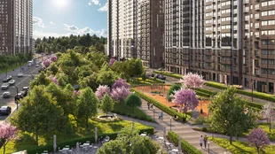 Квартира Студия, 27.5 м² ЖК «1-й Южный» Фото 35 Квартира Студия, 27.5 м² ЖК «1-й Южный» Фото 35