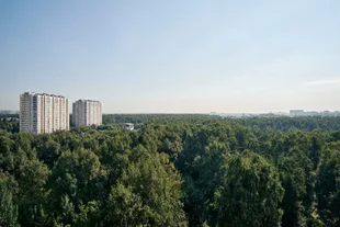Квартира 3-комн. квартира, 84.2 м² ЖК «1-й Лермонтовский» Фото 16 Квартира 3-комн. квартира, 84.2 м² ЖК «1-й Лермонтовский» Фото 16