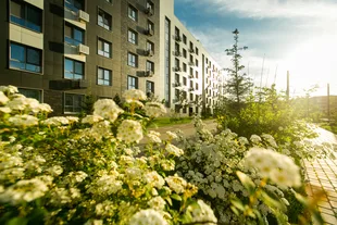 Квартира 2-комн. квартира, 38.28 м² ЖК «Лето» Фото 1 Квартира 2-комн. квартира, 38.28 м² ЖК «Лето» Фото 1
