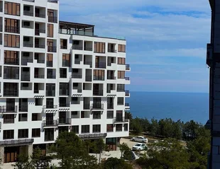 Квартира 1-комн. квартира, 30.44 м² ЖК «Лучистое» Фото 10 Квартира 1-комн. квартира, 30.44 м² ЖК «Лучистое» Фото 10