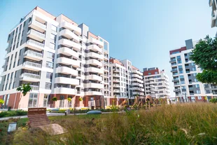 Квартира 2-комн. квартира, 58.96 м² ЖК «Розовое озеро» Фото 3