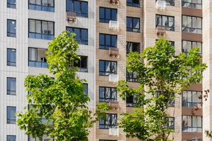 Квартира Студия, 22.1 м² ЖК «1-й Шереметьевский» Фото 8 Квартира Студия, 22.1 м² ЖК «1-й Шереметьевский» Фото 8