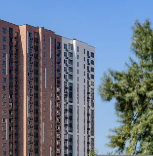 Квартира Студия, 24.7 м² ЖК «1-й Южный» Фото 15 Квартира Студия, 24.7 м² ЖК «1-й Южный» Фото 15