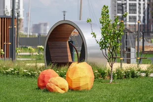 Квартира Студия, 31 м² ЖК «1-й Южный» Фото 18
