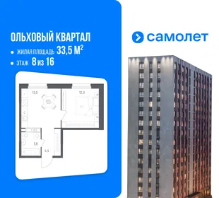 Планировка 1-комн. квартира, 33.5 м² ЖК «Ольховый Квартал»