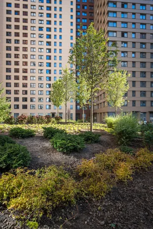 Квартира Студия, 26.7 м² ЖК «Sky Garden» Фото 7 Квартира Студия, 26.7 м² ЖК «Sky Garden» Фото 7