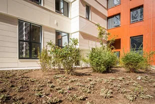 Квартира Студия, 26.7 м² ЖК «Sky Garden» Фото 6 Квартира Студия, 26.7 м² ЖК «Sky Garden» Фото 6